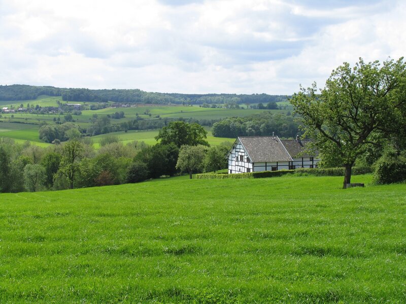Rural house in green fields