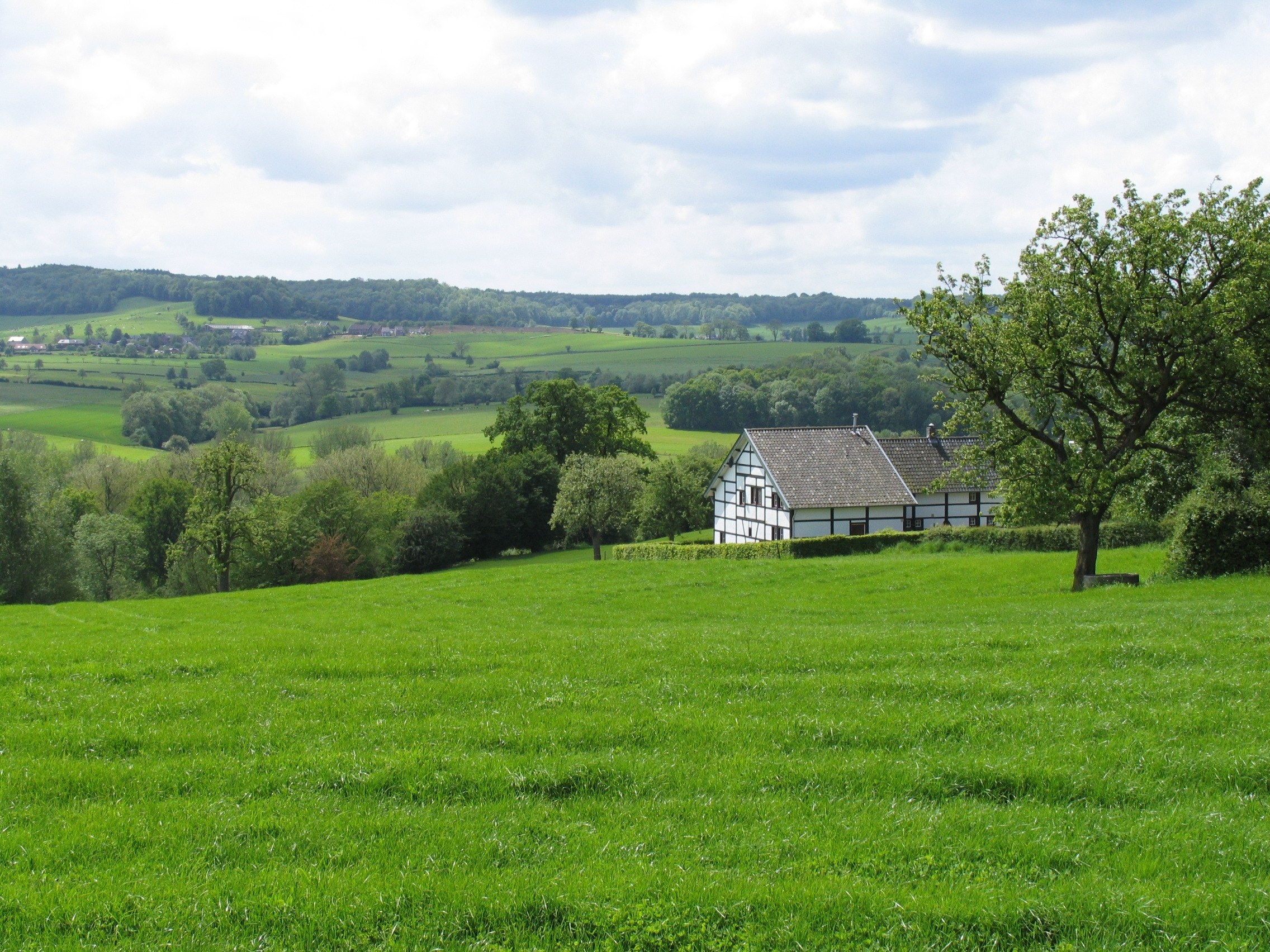 Rural house in green fields