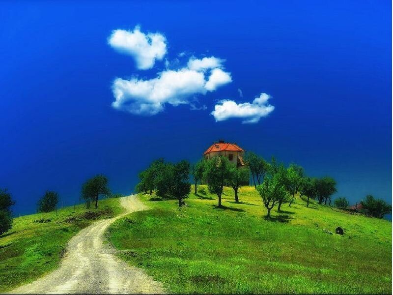 Rural house on a green hill