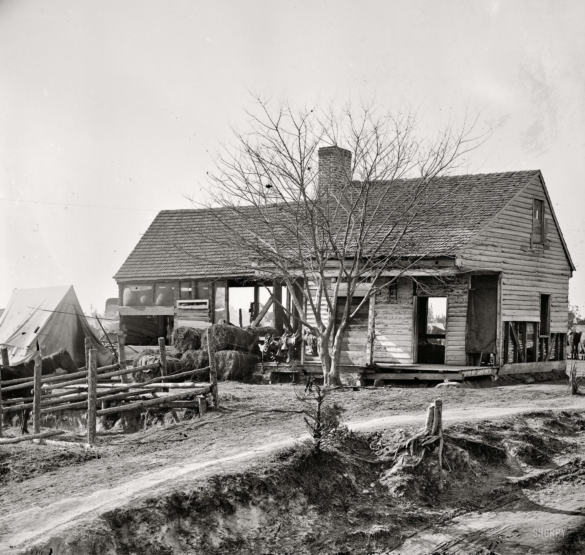 Rural house with tents