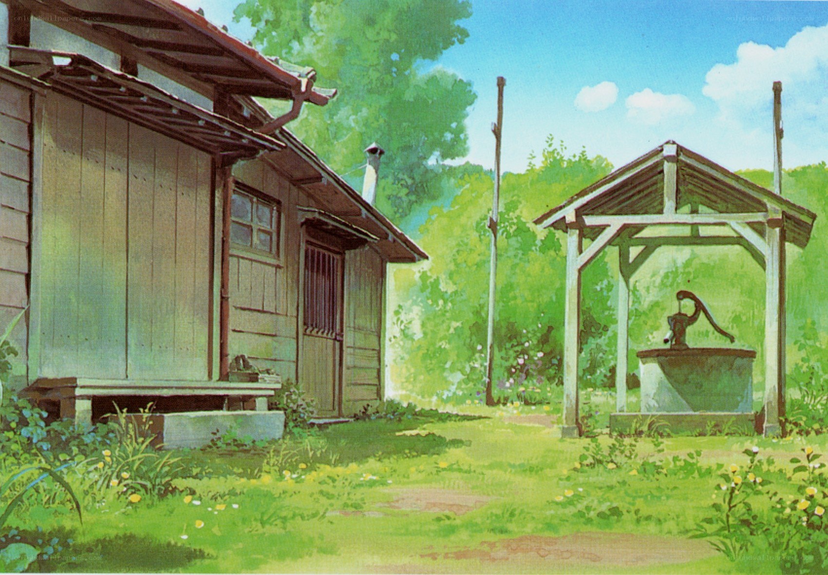 Rural house with well