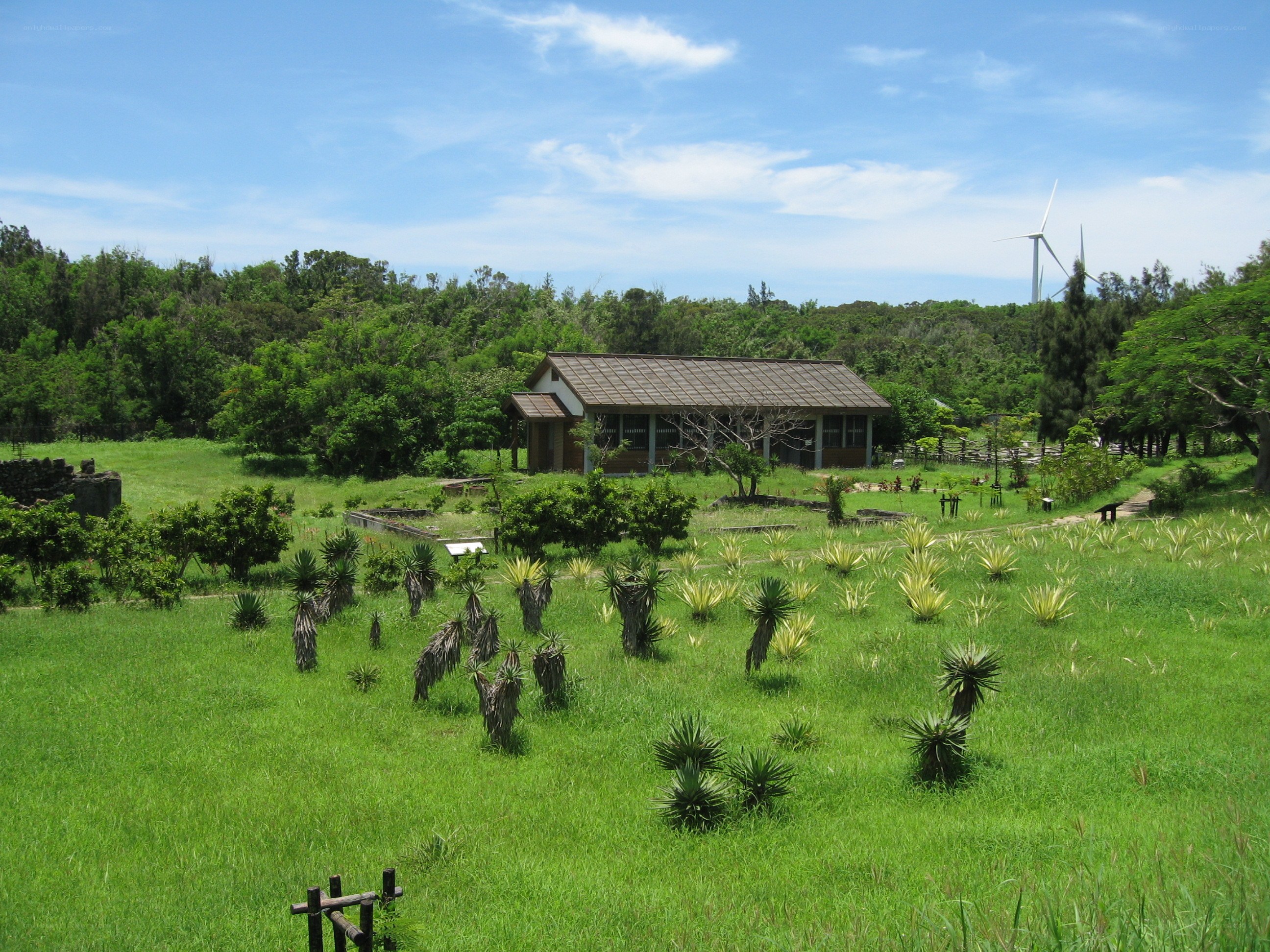 Rural house with wind turbine
