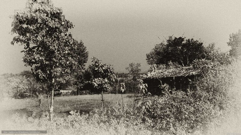 Rural hut in a field
