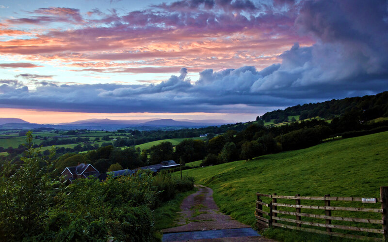 Rural Landscape at Dusk — Green