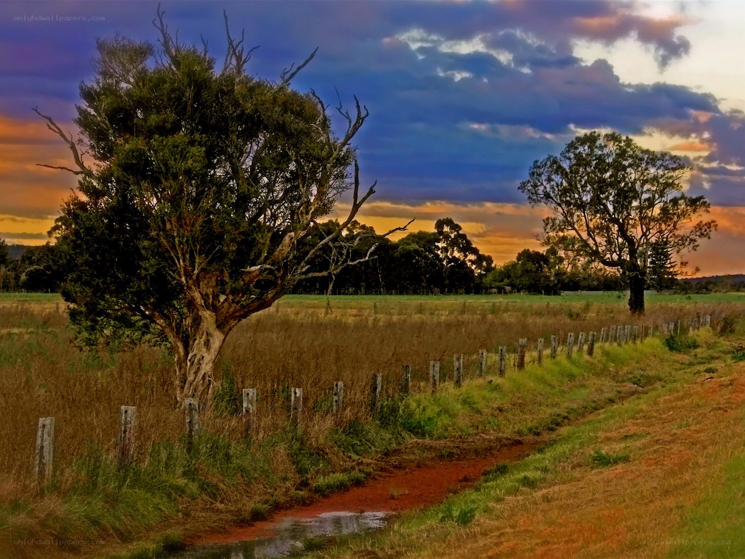 Rural landscape at sunset