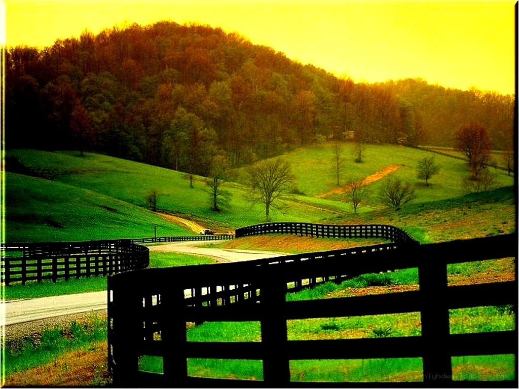 rural landscape at sunset
