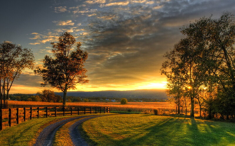 Rural Landscape at Sunset — Golden