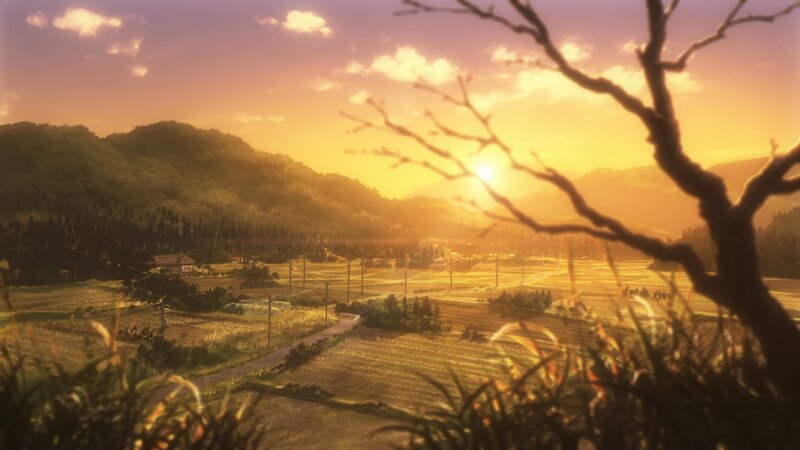 Rural Landscape at Sunset — Orange