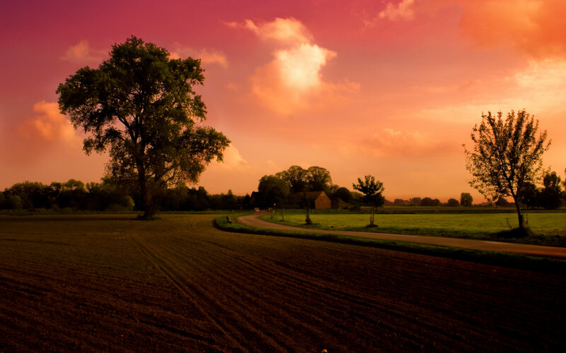 Rural Landscape at Sunset — Pink