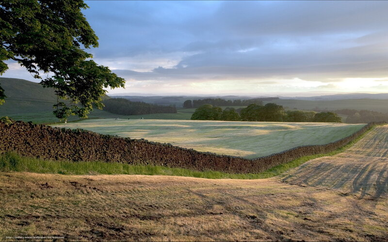 Rural landscape at sunset