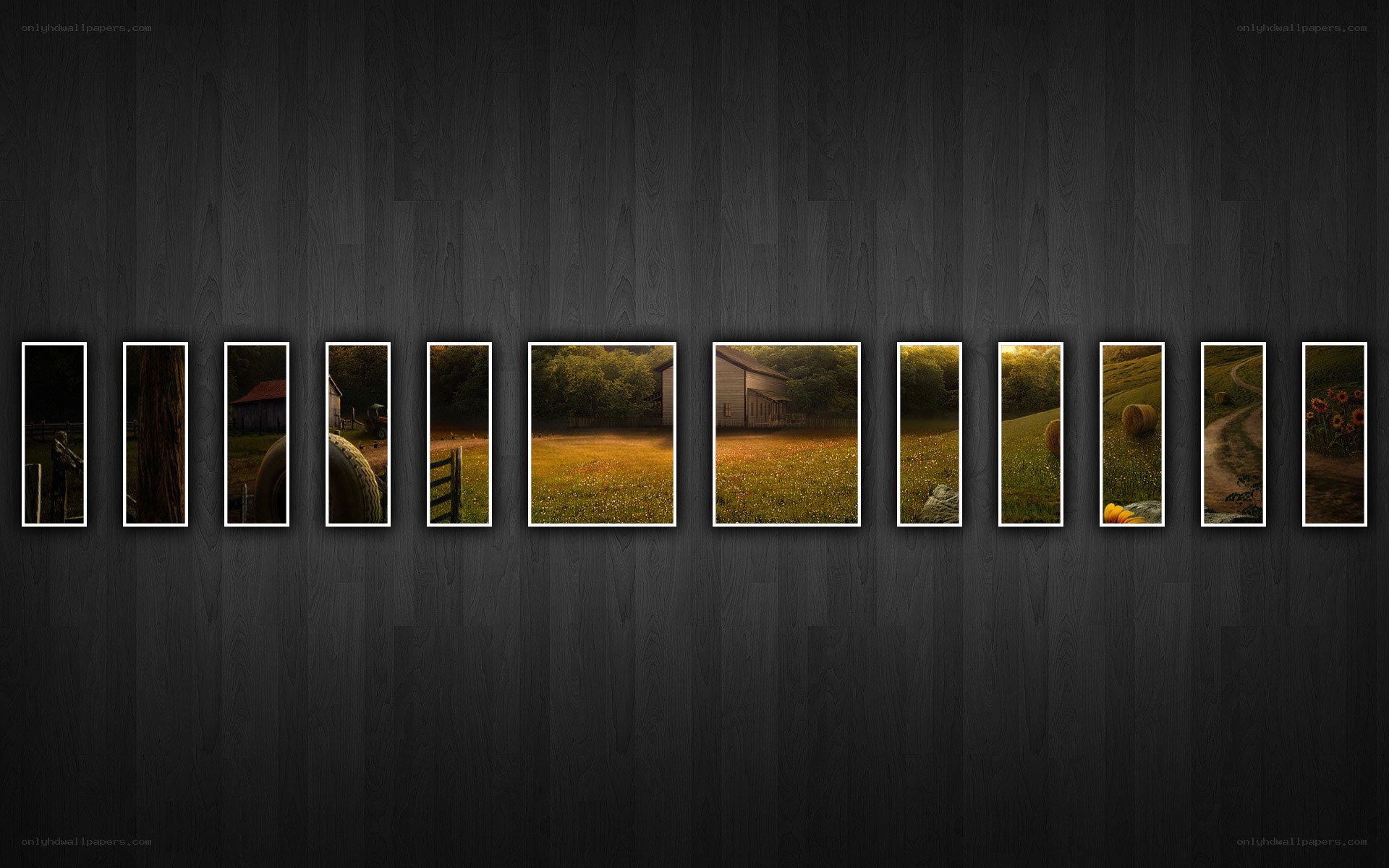 Rural landscape collage