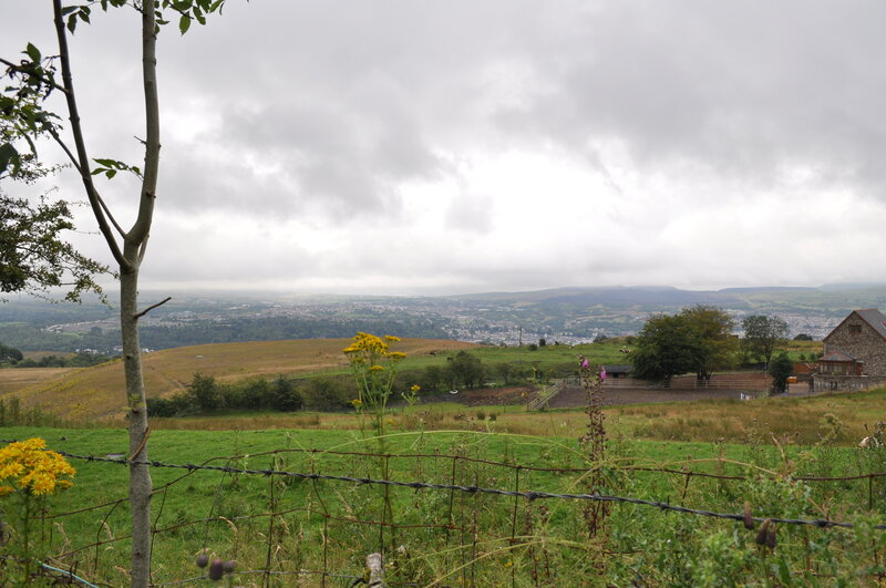 Rural Landscape View — Green