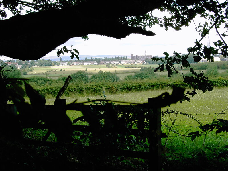 Rural landscape view