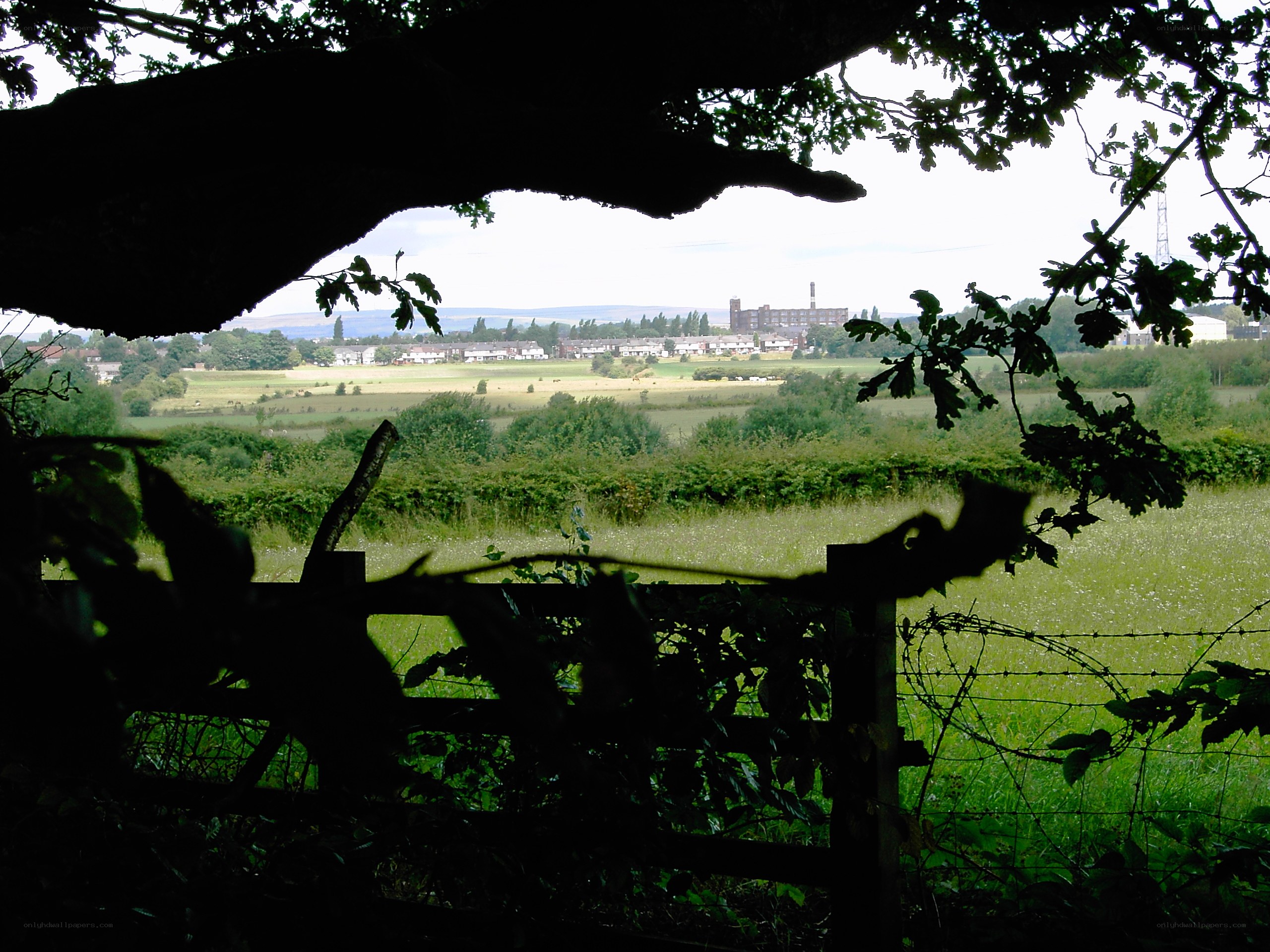 Rural landscape view