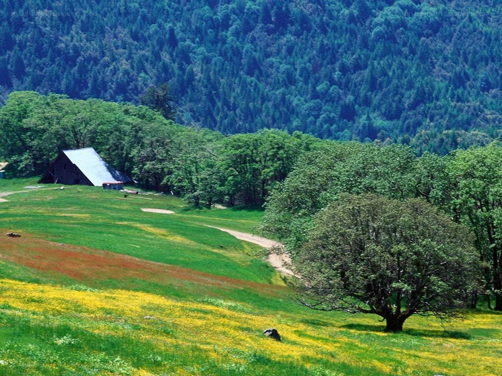 rural landscape with barn