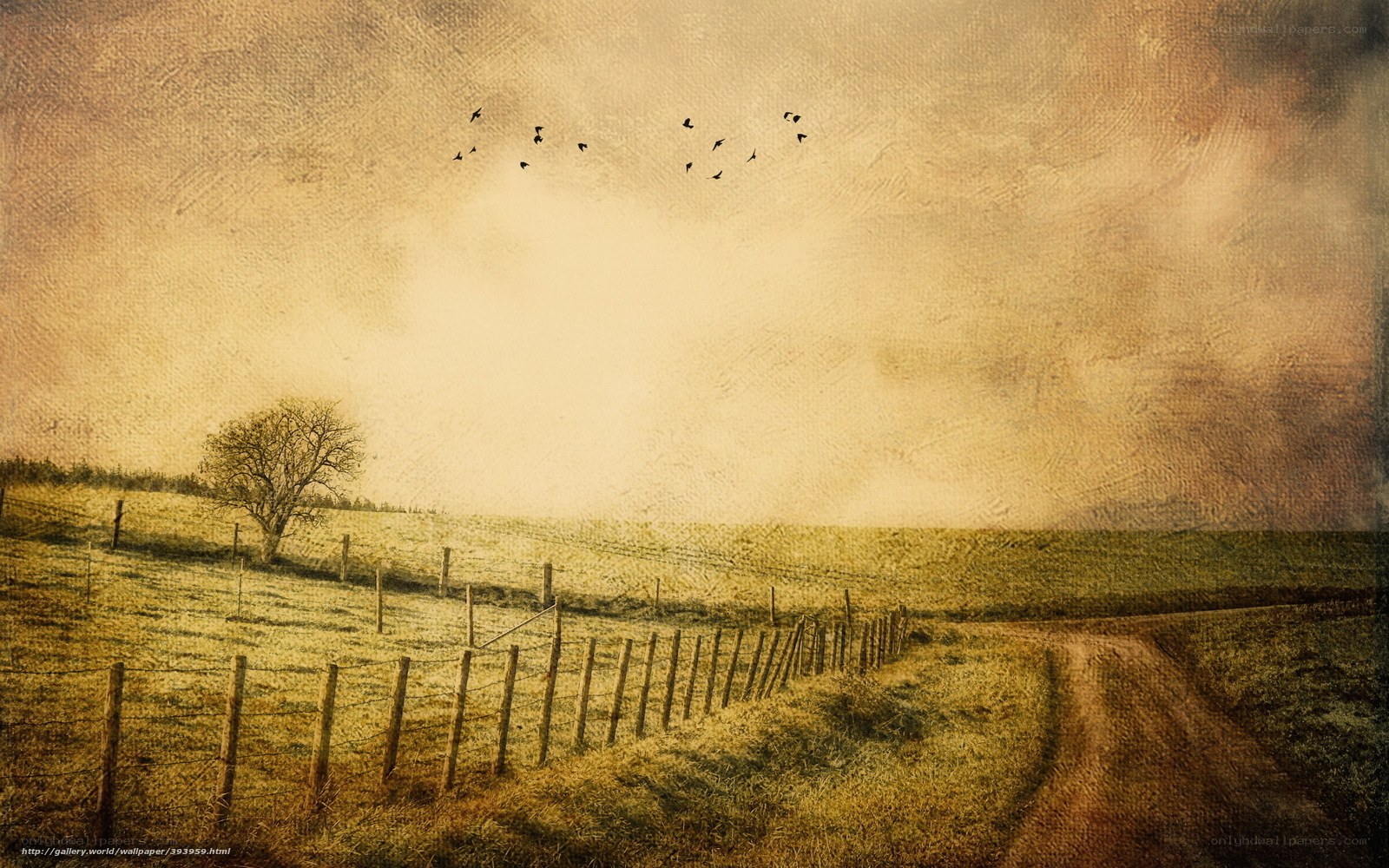 Rural landscape with birds