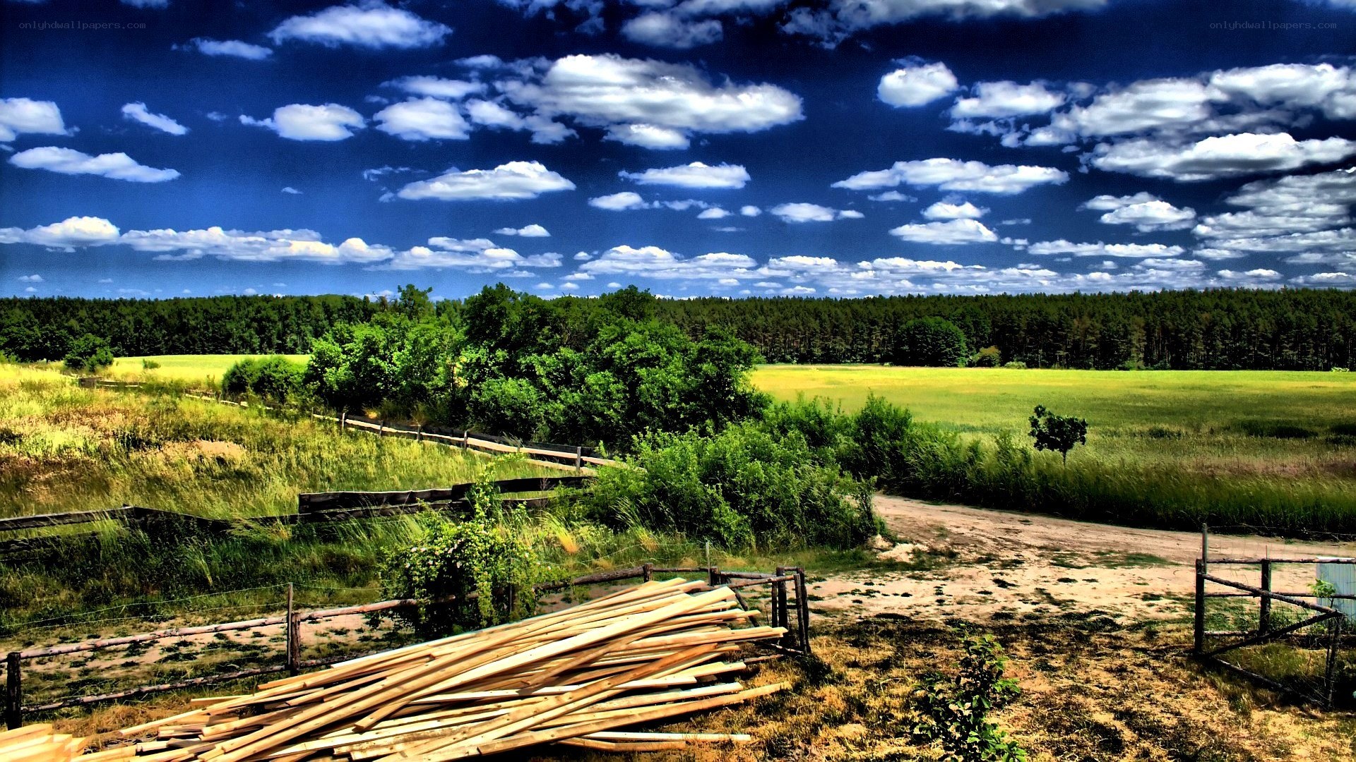 Rural landscape with blue sky