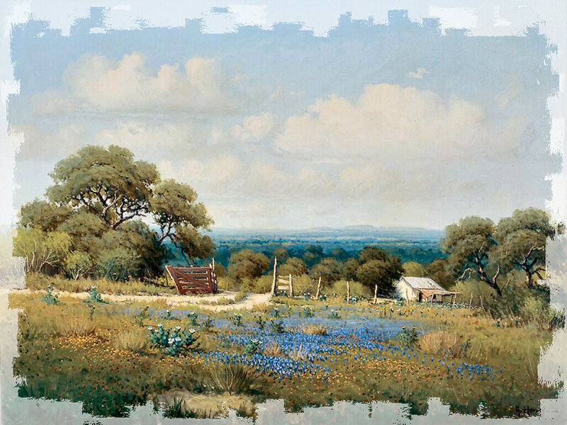 Rural Landscape with Bluebonnets