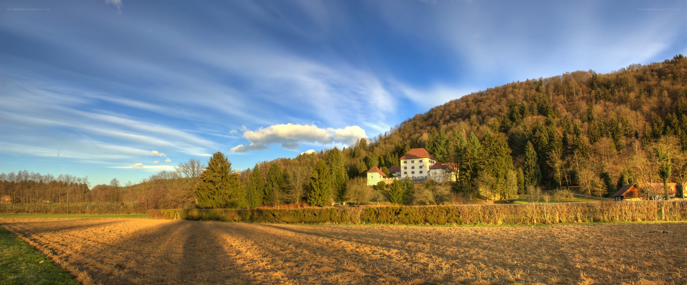 Rural landscape with castle
