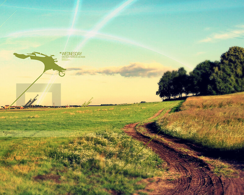 Rural landscape with dirt path