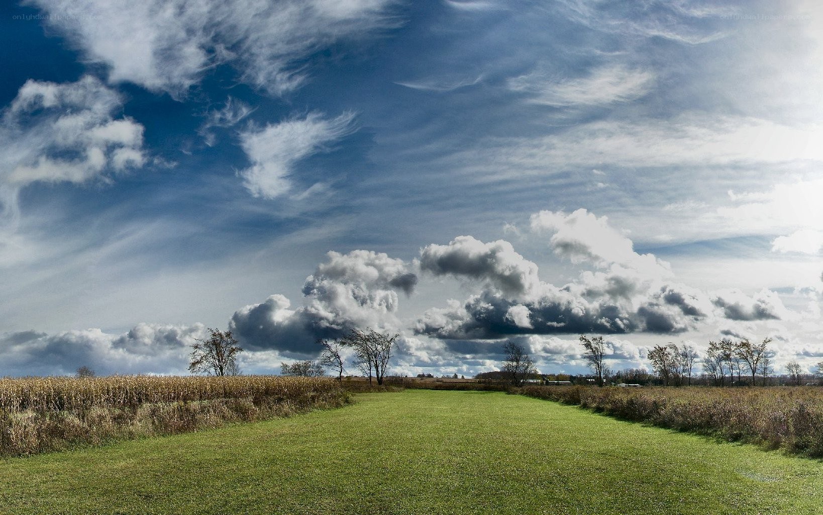 Rural landscape with dramatic sky