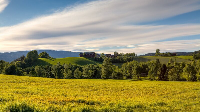 Rural landscape with farm