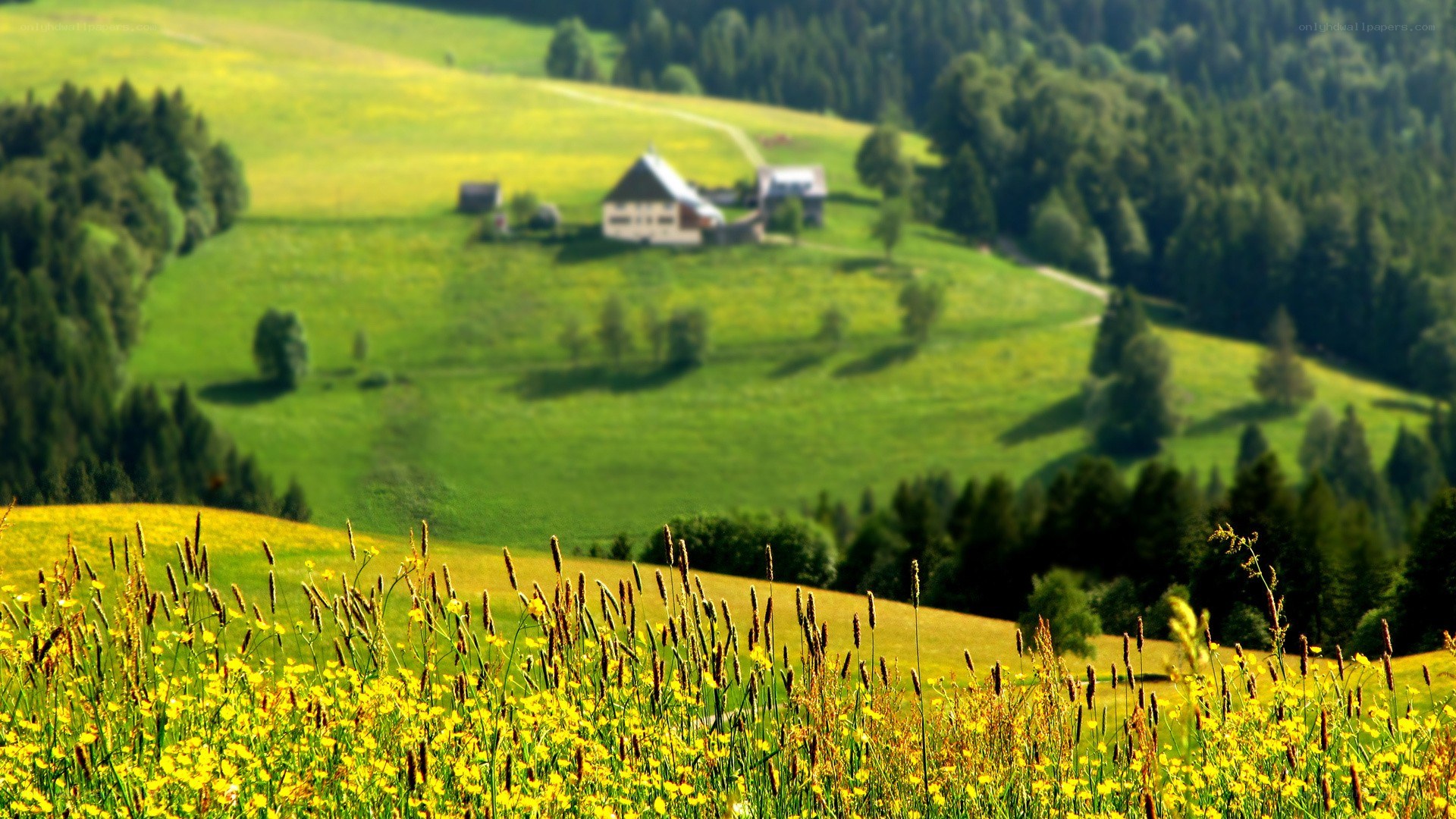 rural landscape with farmhouse