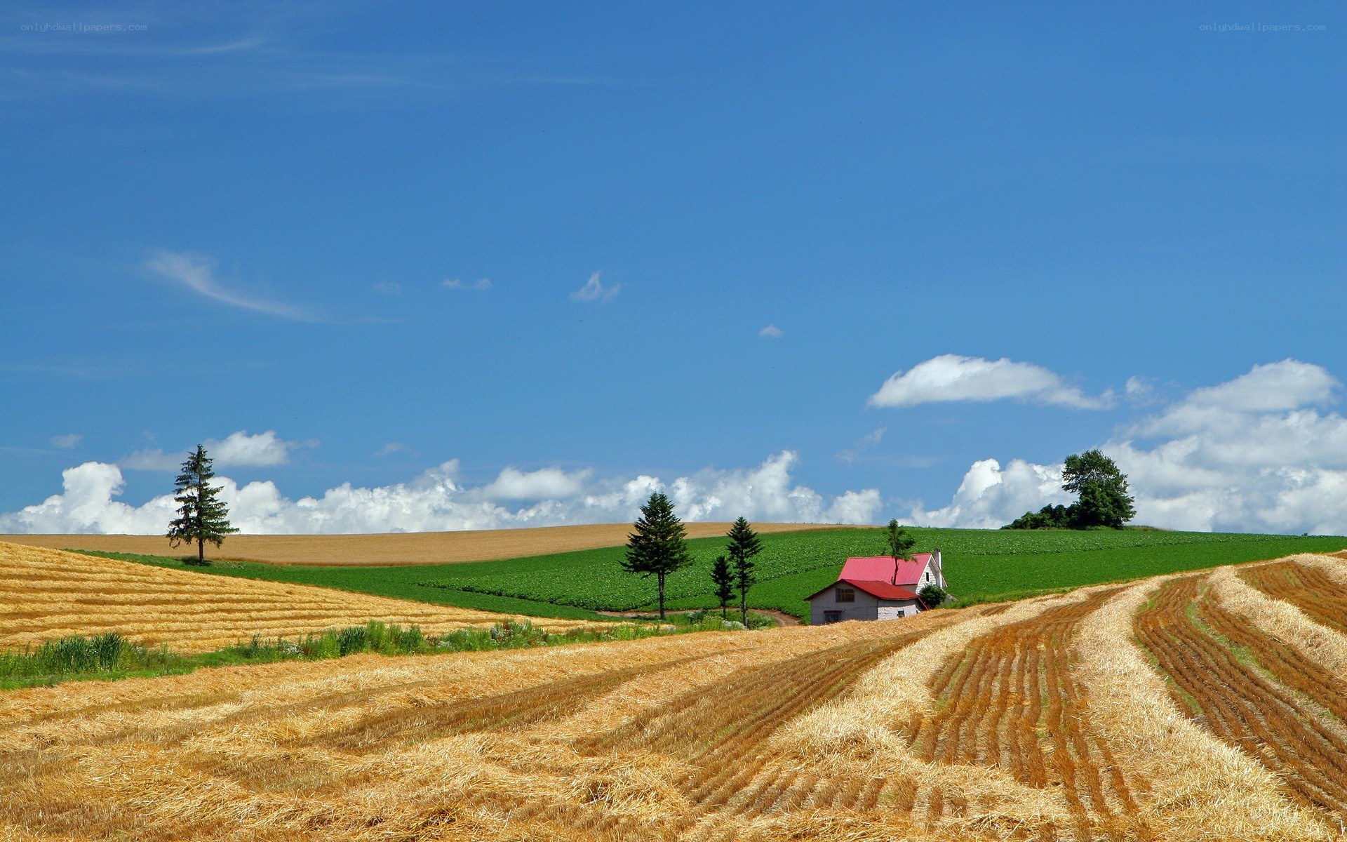 Rural landscape with farmhouse