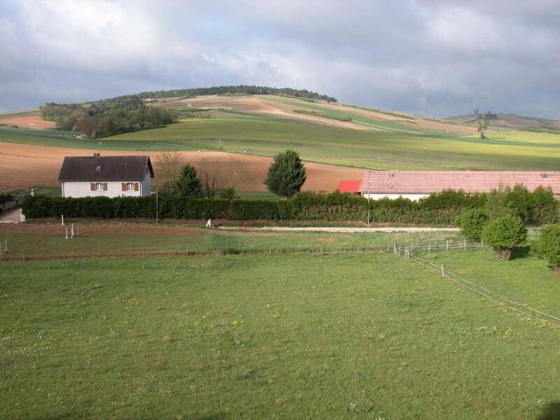rural landscape with farmhouses