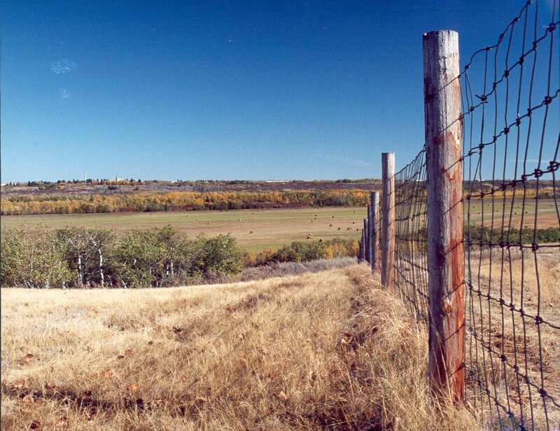 rural landscape with fence