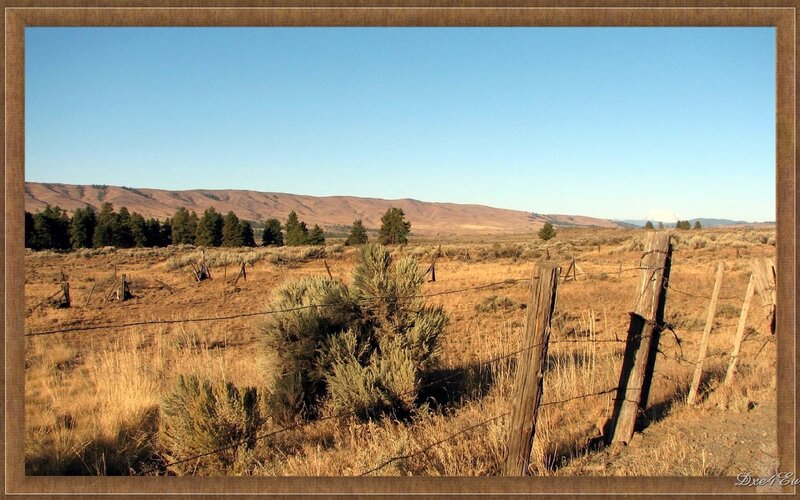 rural landscape with fence and mountains