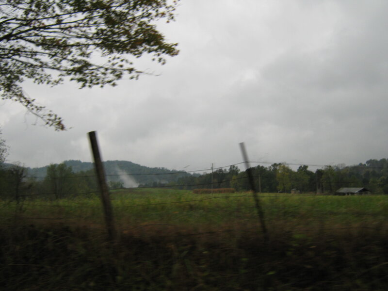 Rural Landscape with Fence — Green