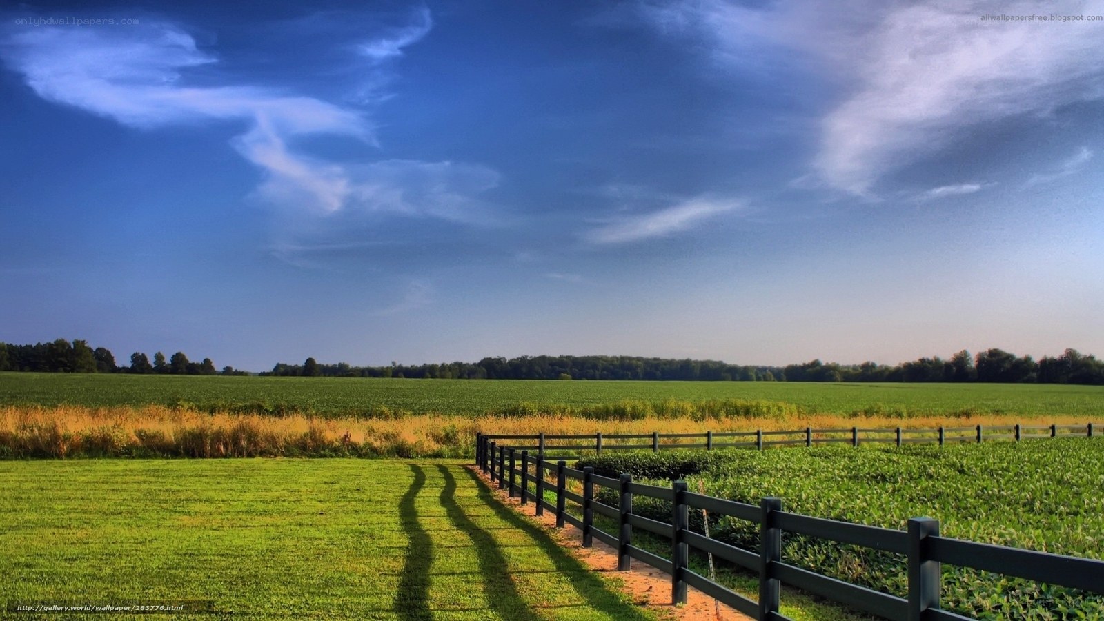 Rural landscape with fence