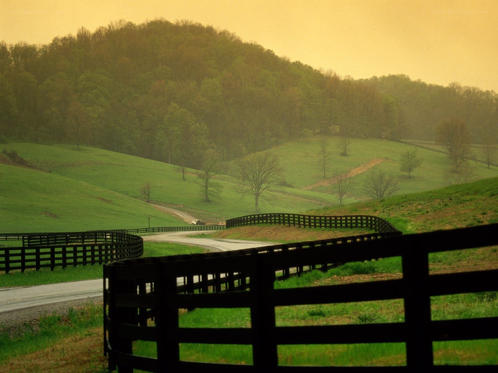 rural landscape with fences