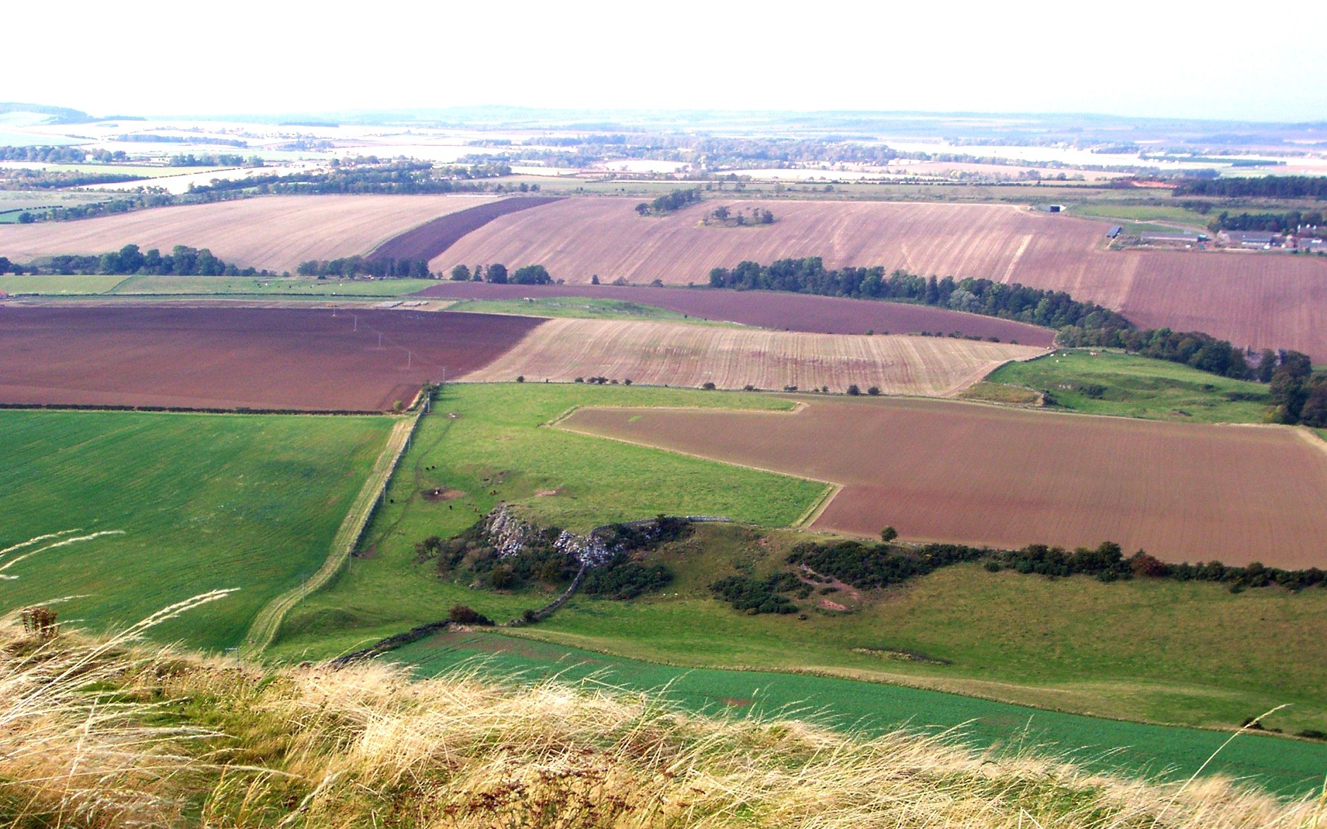 rural landscape with fields