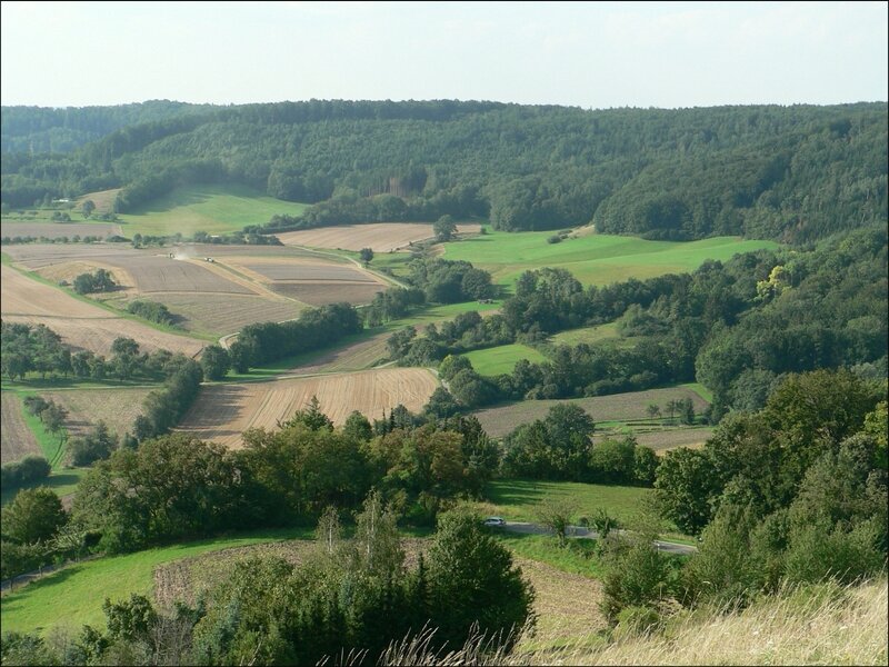 rural landscape with fields and forest
