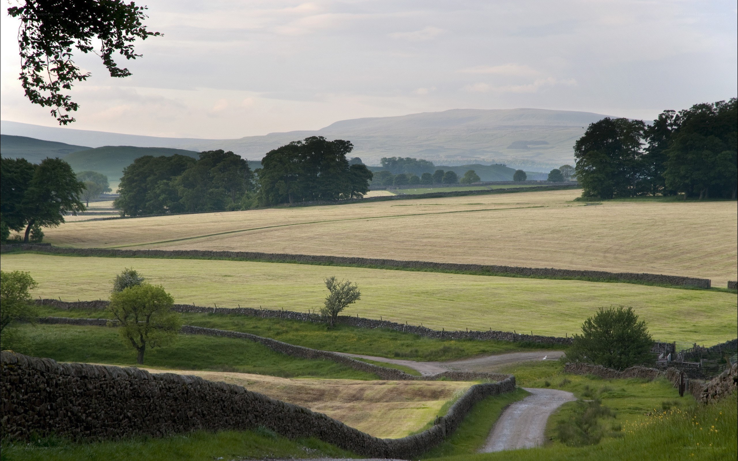 rural landscape with fields and hills