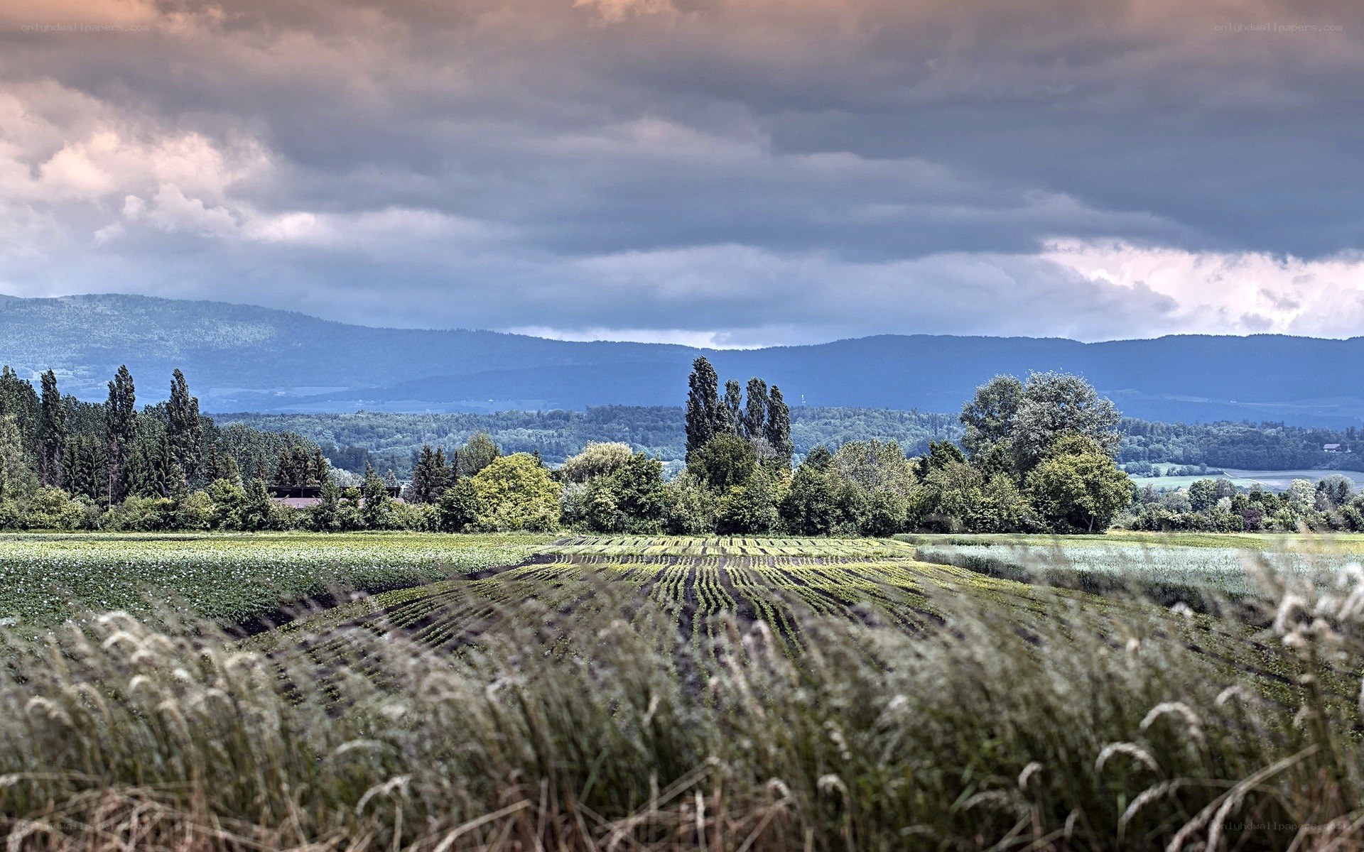 Rural landscape with fields and mountains