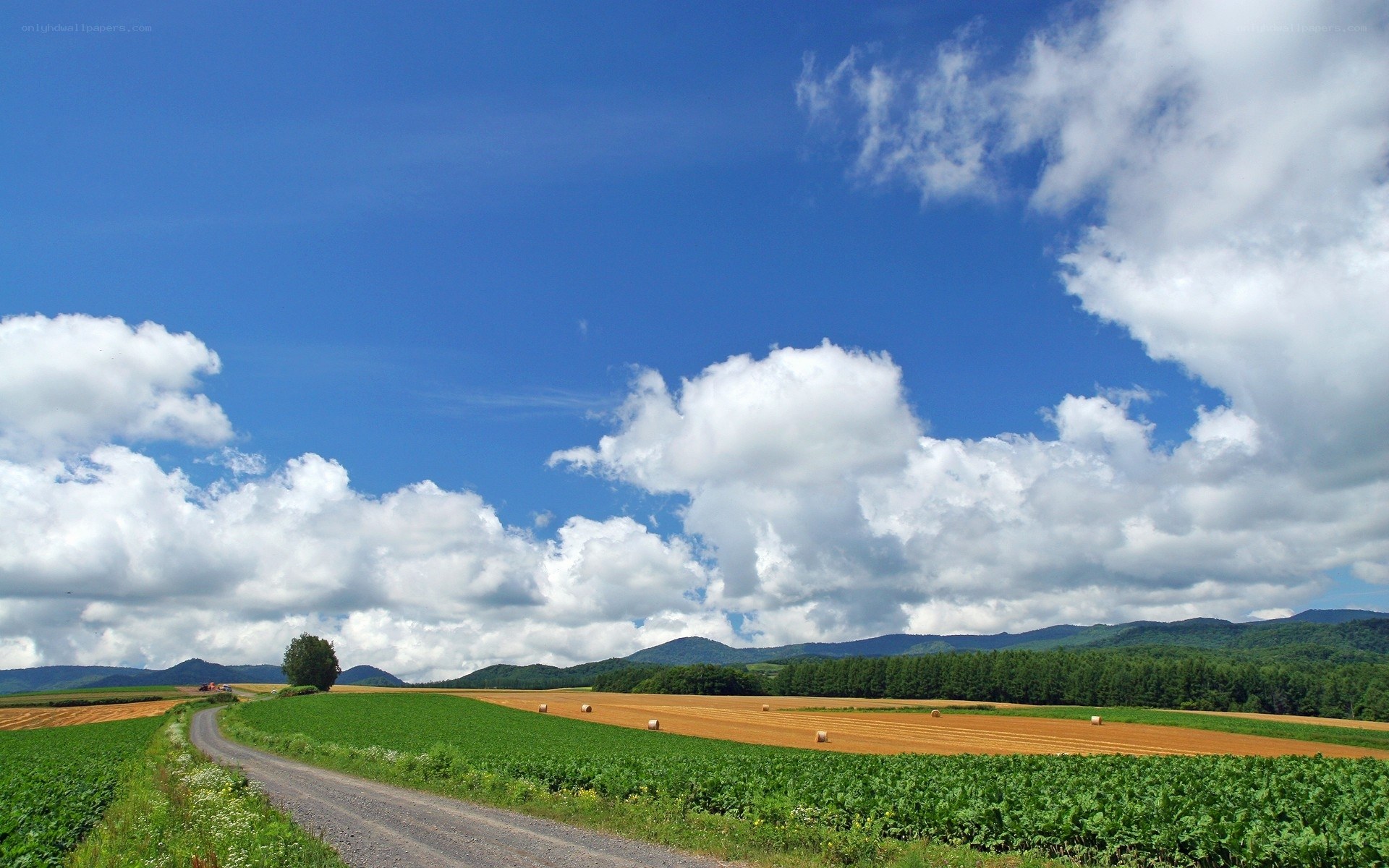 Rural landscape with fields and mountains