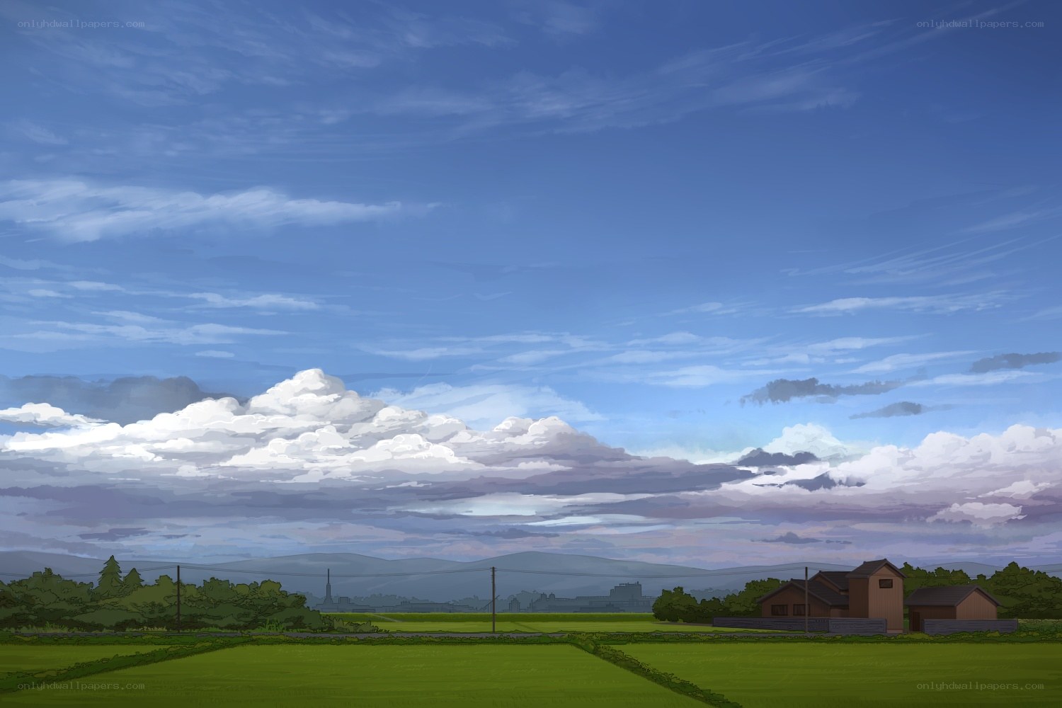 Rural landscape with fields and sky