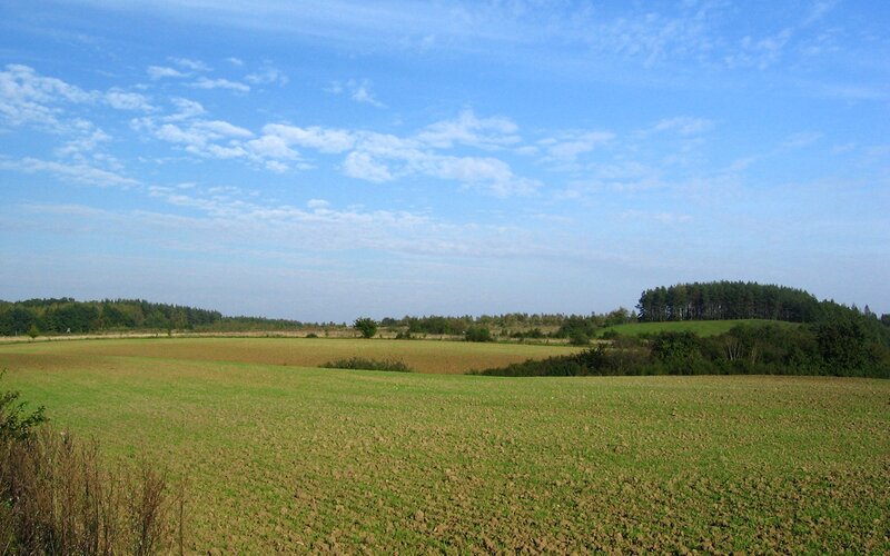 Rural landscape with fields and trees