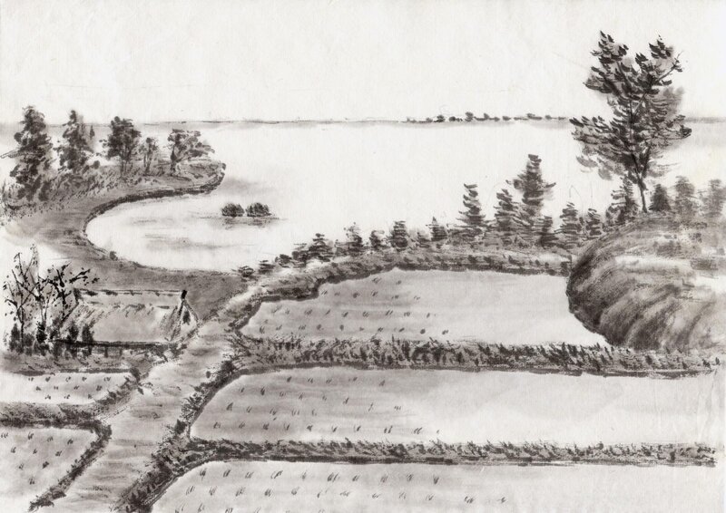 Rural Landscape with Fields — Black
