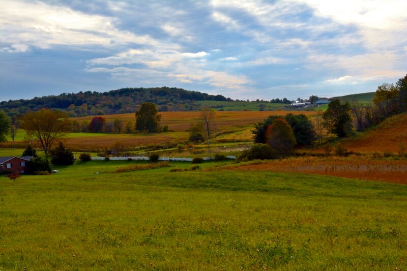 Rural Landscape with Fields — Green, Serene, Autumn