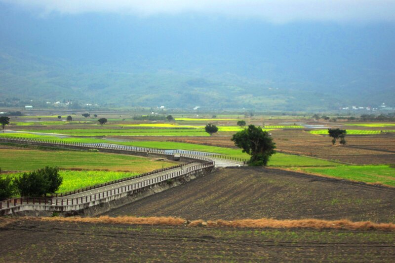 Rural Landscape with Fields — Green, Serene