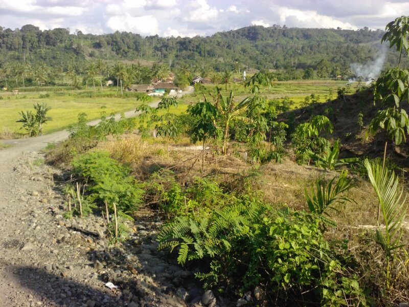 Rural Landscape with Fields — Green