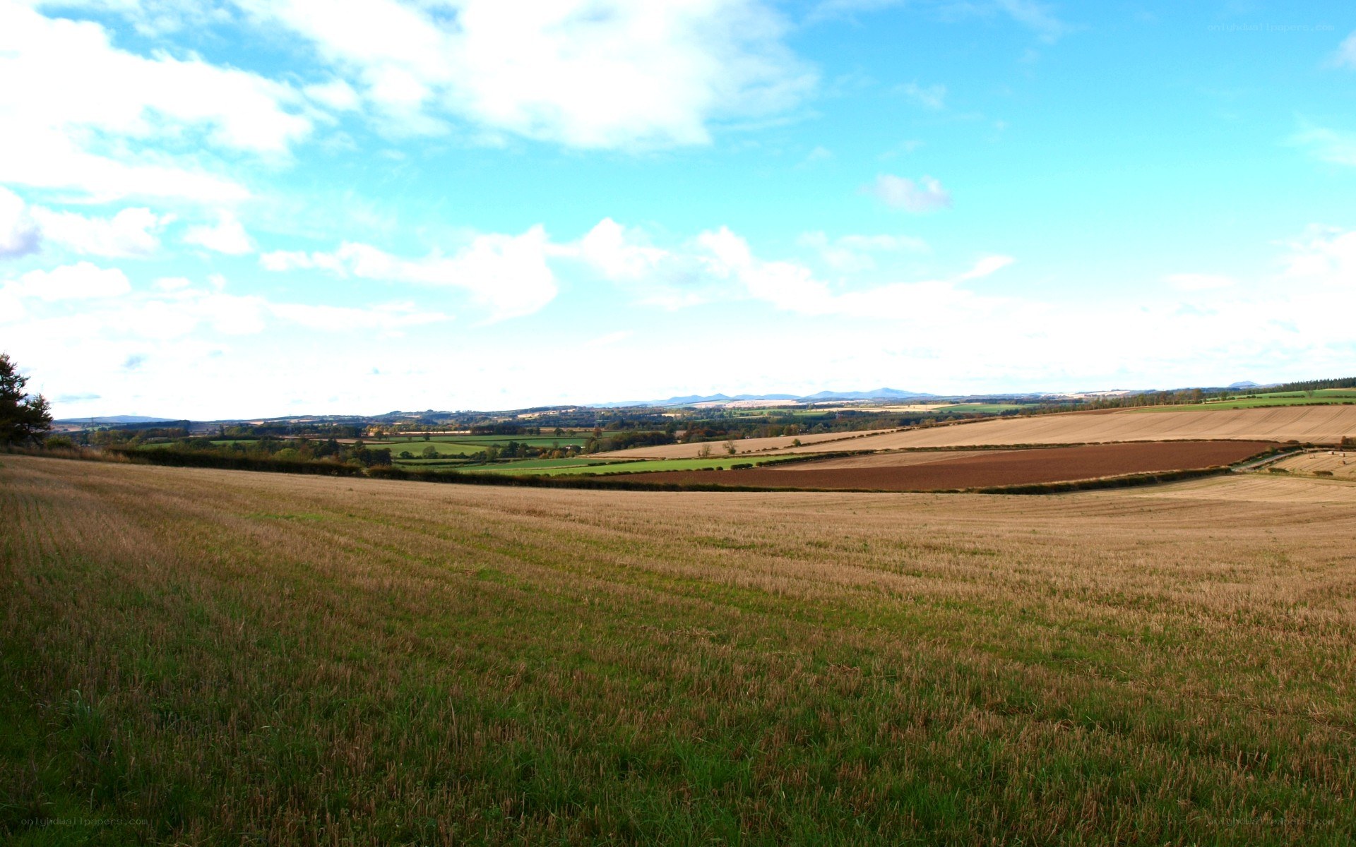 rural landscape with fields