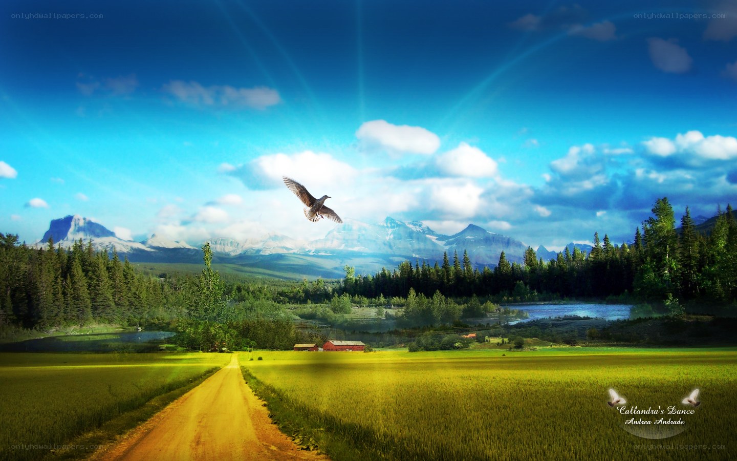 Rural landscape with flying bird