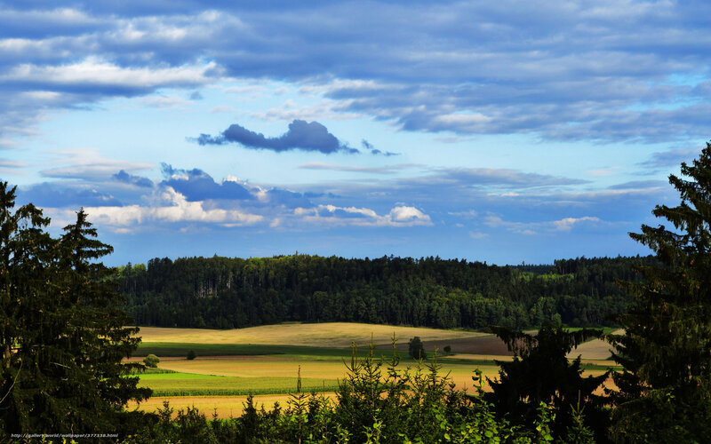 Rural landscape with forest and fields
