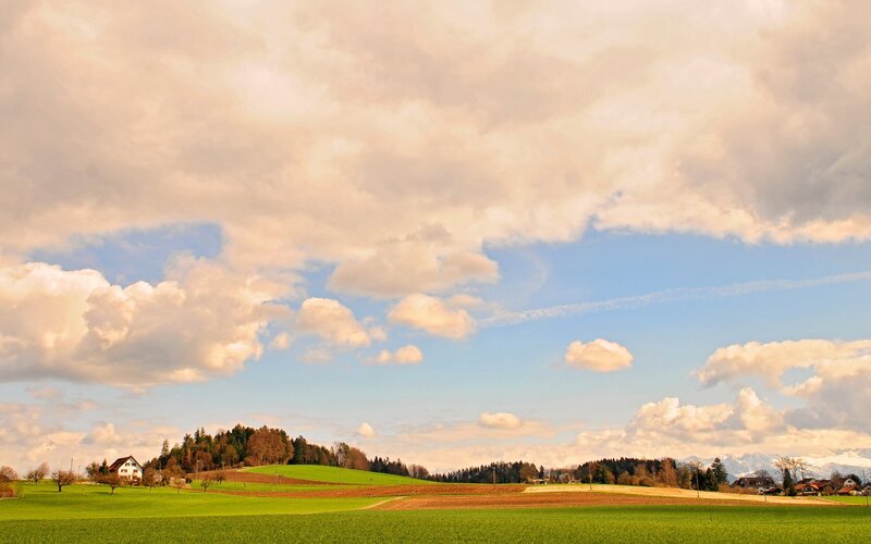 Rural landscape with green fields