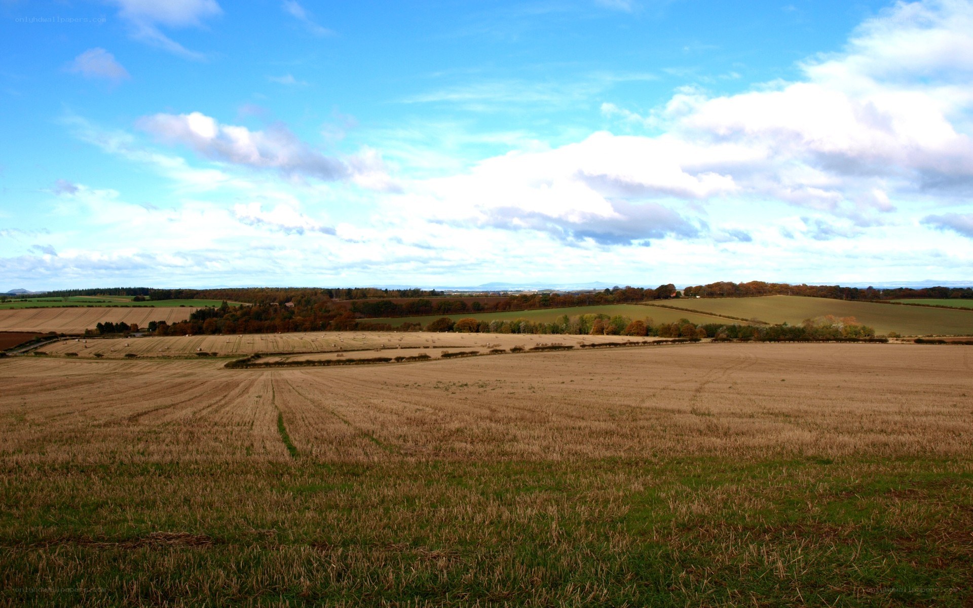 rural landscape with harvested fields